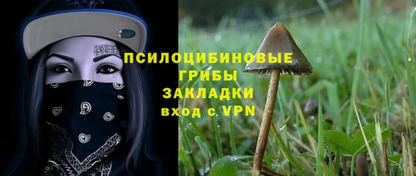 ПСИЛОЦИБИНОВЫЕ ГРИБЫ Алексеевка