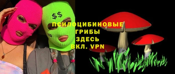 ПСИЛОЦИБИНОВЫЕ ГРИБЫ Алексеевка