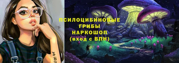 ПСИЛОЦИБИНОВЫЕ ГРИБЫ Алексеевка