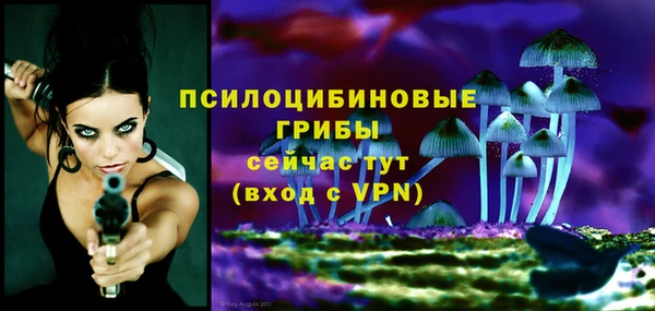 ПСИЛОЦИБИНОВЫЕ ГРИБЫ Алексеевка