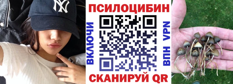 закладки  мега рабочий сайт  Галлюциногенные грибы GOLDEN TEACHER  Бодайбо 